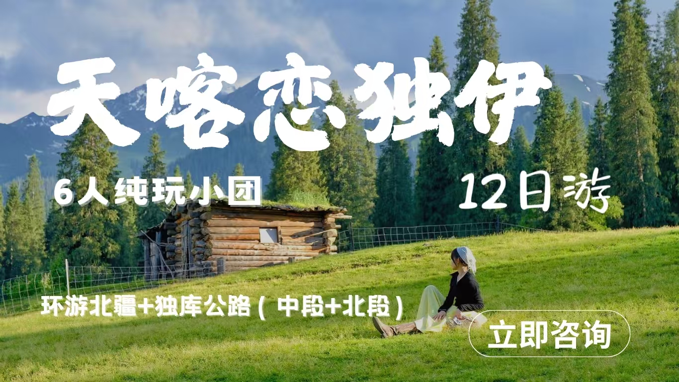 【天喀恋独伊】北疆环线12天11晚拼车团 （乌鲁木齐进出）