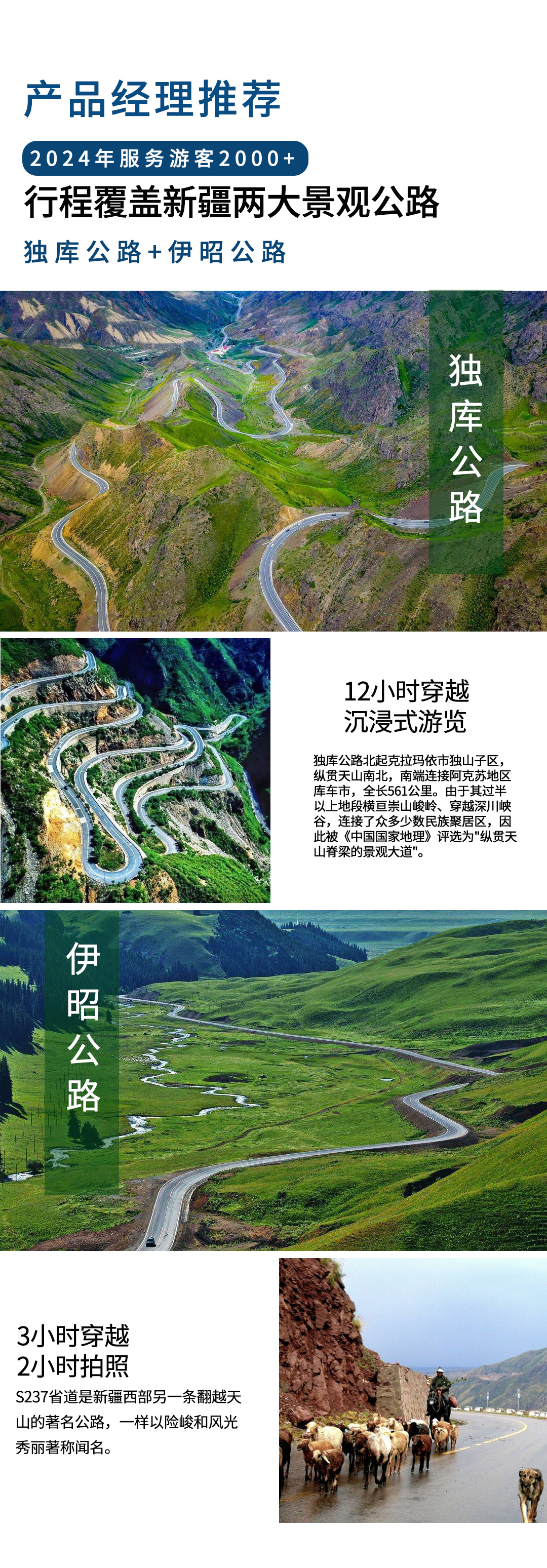 2025独伊无二详情图_04
